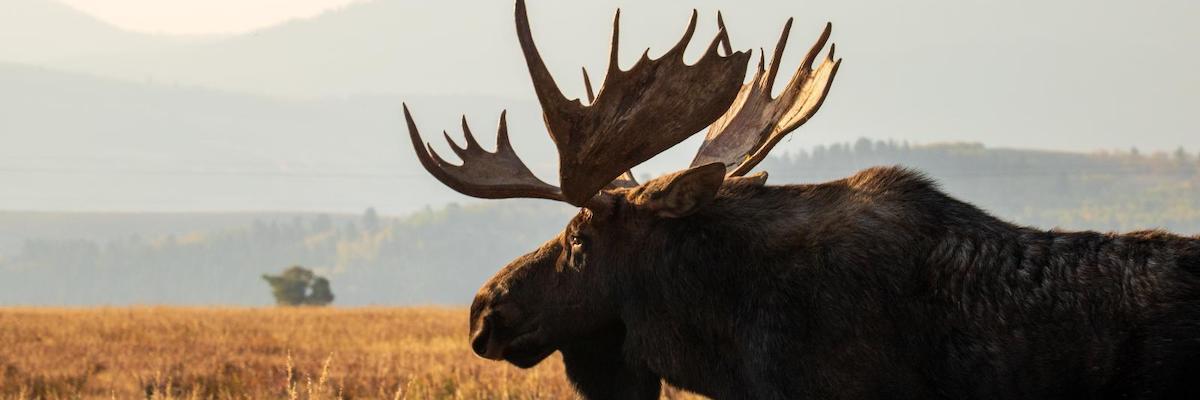 4 Reasons to Love National Geographic Journeys